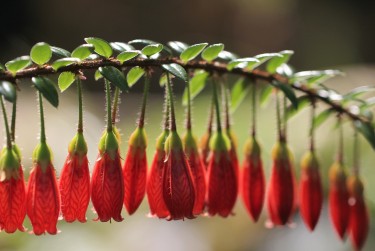 佛山三水区8私人快速借钱网，轻松解决资金难题