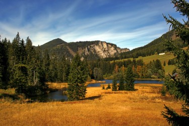 佛山三水区8民间私贷攻略：揭秘低成本借贷的秘密